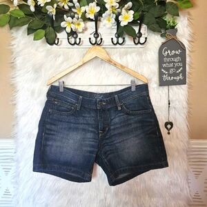 Old Navy Flirt Denim Shorts